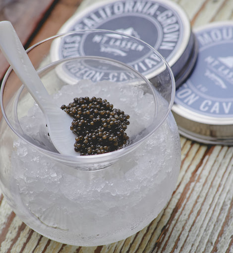 Mt Lassen California White Sturgeon Caviar